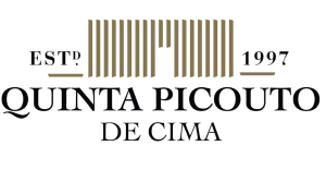 Quinta Picouto de Cima